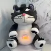Gatto strabico