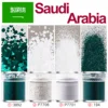 Saudi Arabia