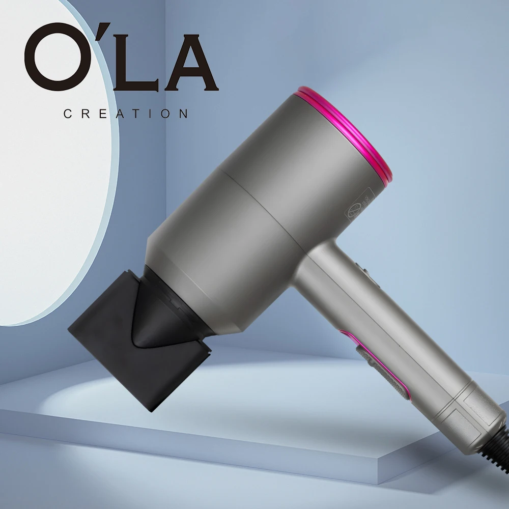 O'la Hair Dryer European Standard Negative Ion Household American