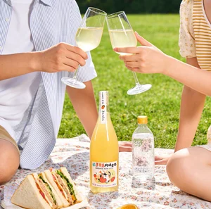 B2B Orange Jam Gin 15% ABV Jam Aromas Premium Orange Sweet Tart 750ml Bottle Bulk Wholesale Competitive Pricing