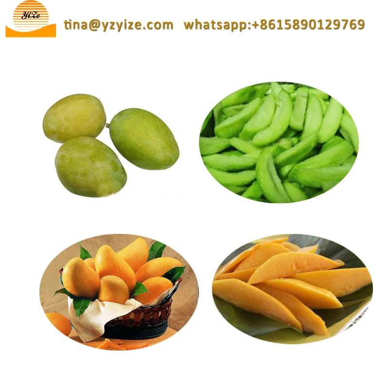 Mango Cutting Machine,mango Separator Machine,mango Seed Remover Machine