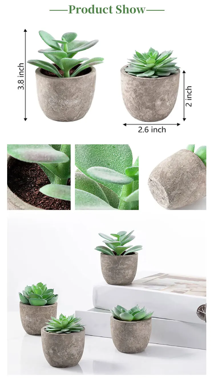 Wholesale Artificial Succulent Pants Bonsai Succulent With Square