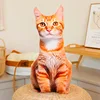 Orange cat