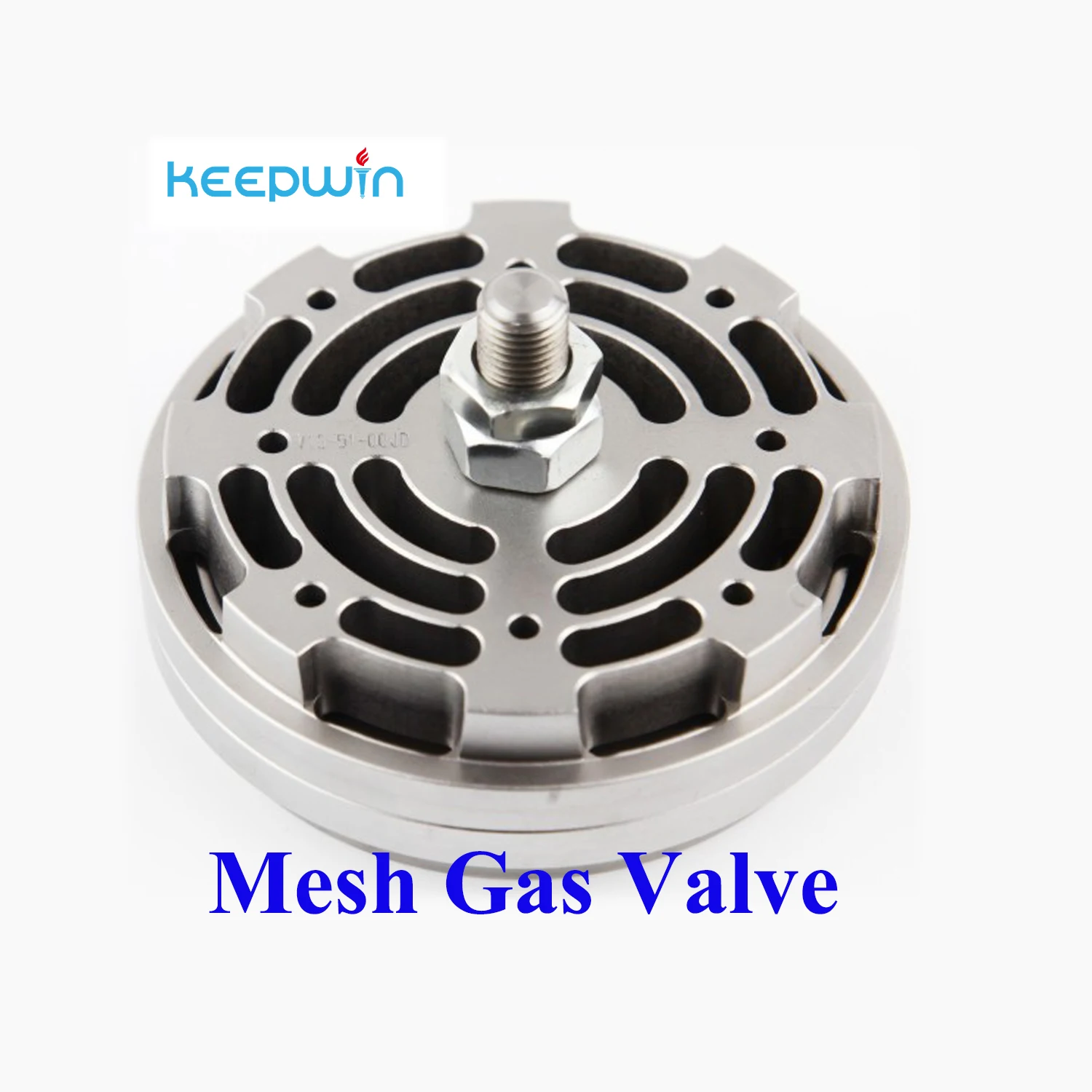 Special Customize Compressor Maintenance Gas Valve Piston Ring Spring Valves