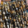 07-Petrified Wood Jasper