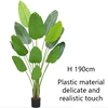 green Type B 190cm