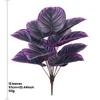 Viola-12*57