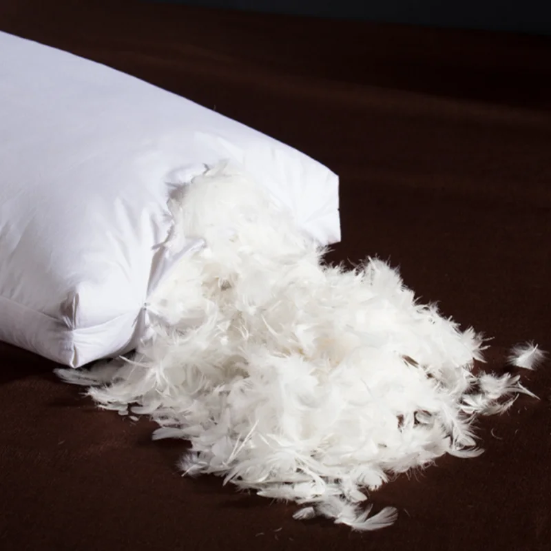 White Duck Feather High Quality European Standard Washed White Duck feather Filling For Pillows,Duvet With Custom Size