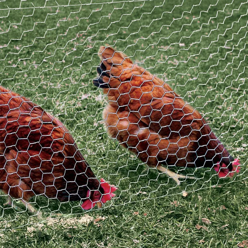 Free Range Goose Hex Fencing  Marks Grazing Areas Prevents Geese from Wandering