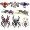Insect Animal