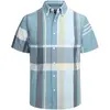 40 BlueGrey