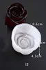 White-12