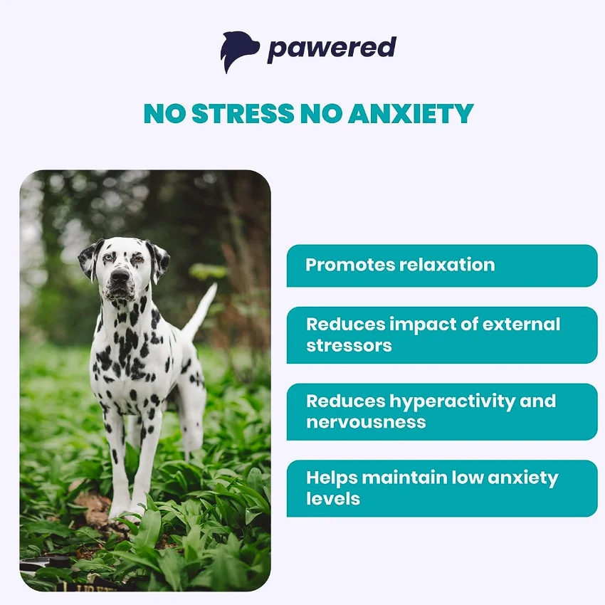Anxiety Rlief Treats Promote Sleep With Melatonin & Ltryptophan For Pet Dog Calming Chews
