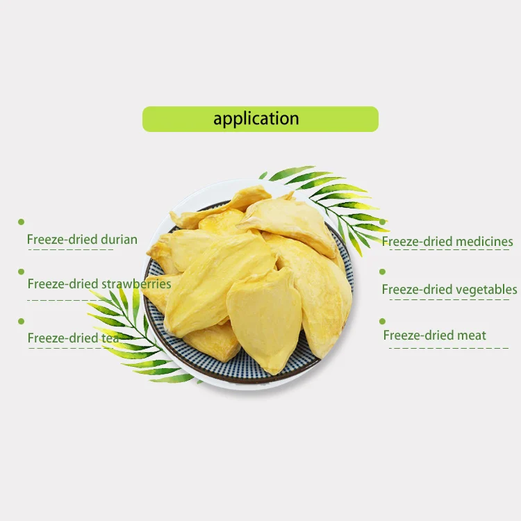 TCA Small Type Freeze Drying Lyophilizer Machine Industrial Fruit and Vegetables Vacuum Freeze Dryer