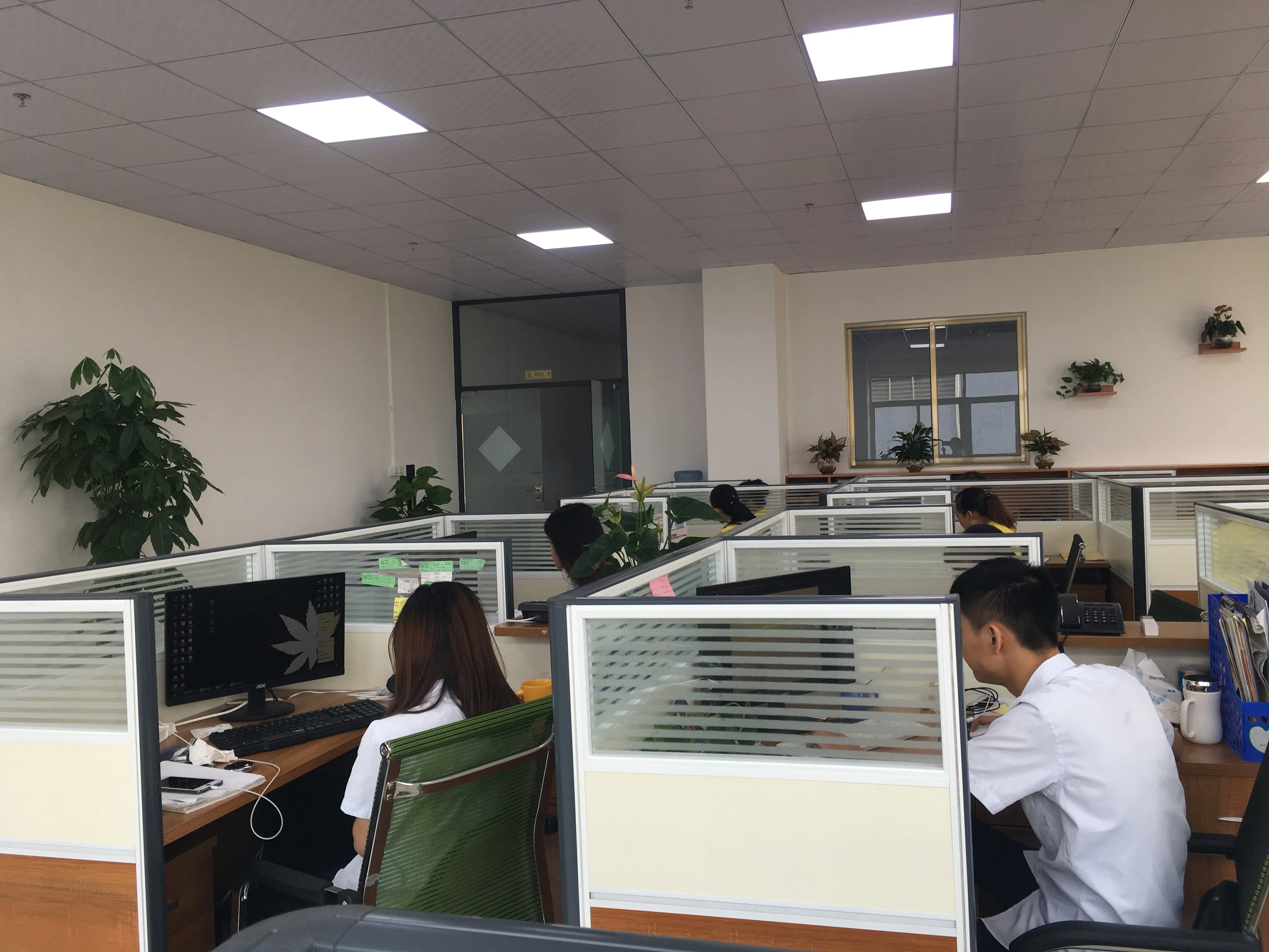 Foshan Dechang Technology Co., Ltd. 2