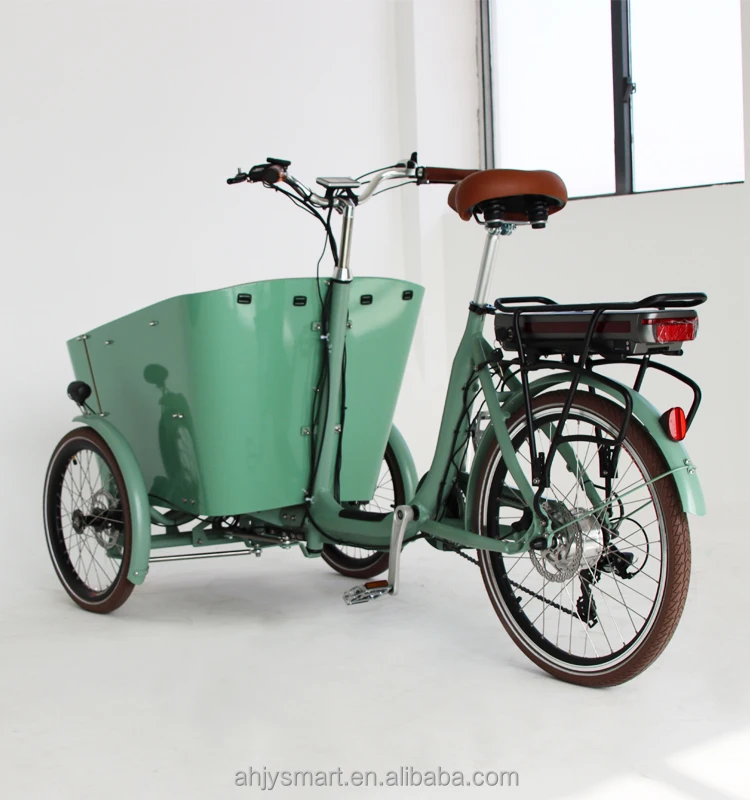 Family Trike Electric Tricycle Cargo Bike for Sale in Dutch - Main Image
