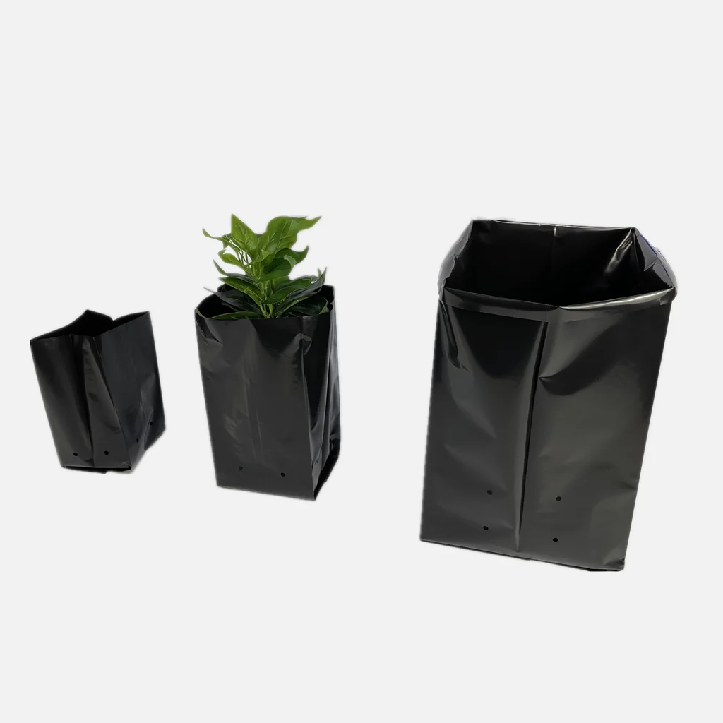 Plant Bag New Design Grow Fabric Pots Felt Planting Bag with Handle  China Plant  Bag and Plant Nursery Bag price  MadeinChinacom