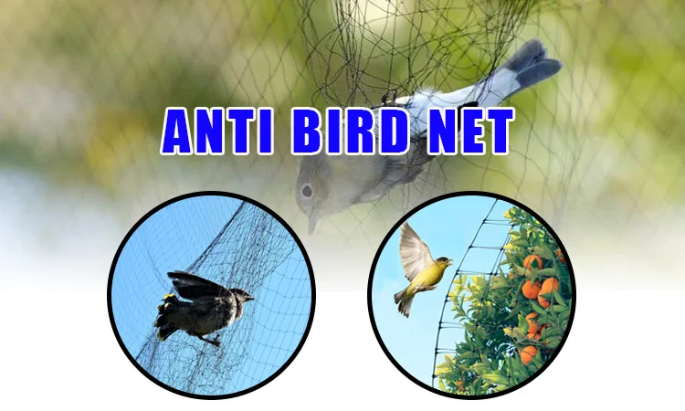 Thailand Bird Net: Anti Bird Nets for Pigeon Catching, Nylon Mist ...