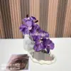 Orchidée Vanda hydratante violet foncé