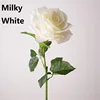 Bianco latte