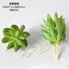 SKU-07