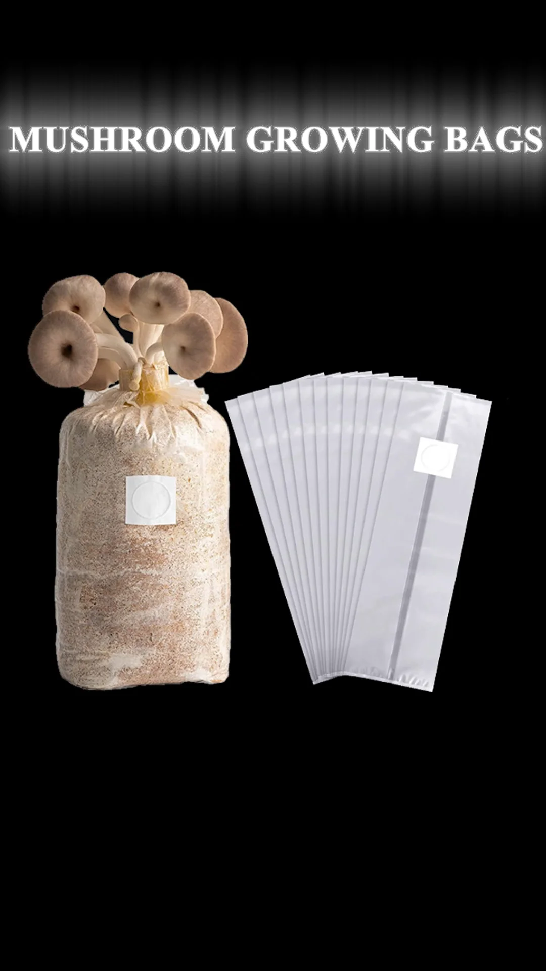 Best Price Autoclave Oyster Mushroom Bag Large Mushroom Grow Bags