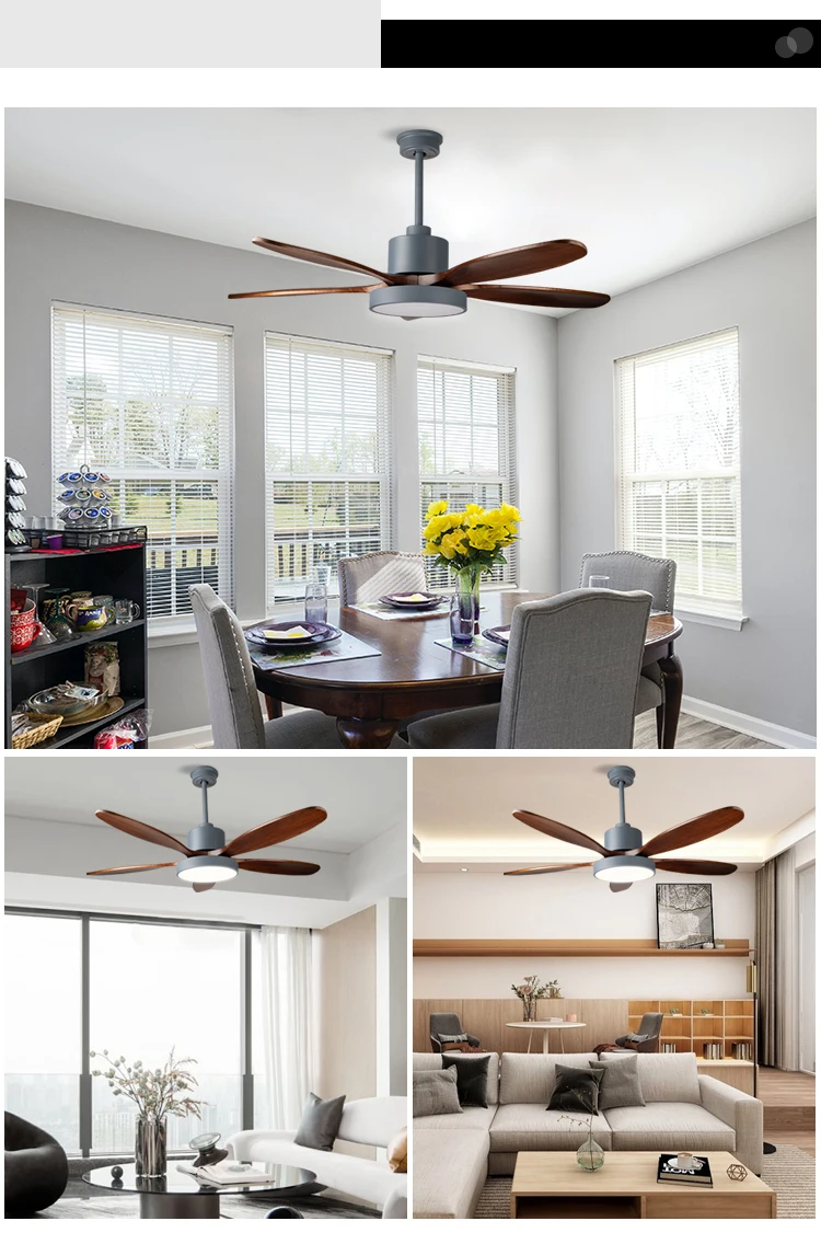 Ceiling Fan, 110-220V, DC35w - detail 18