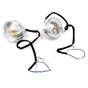 Auto Car Accessories Side Mirror Turn Light Lamp Turn Signal for CHANGAN Chana Benni