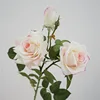 Ibisco a 3 teste rosa latte