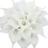 Lily flower head