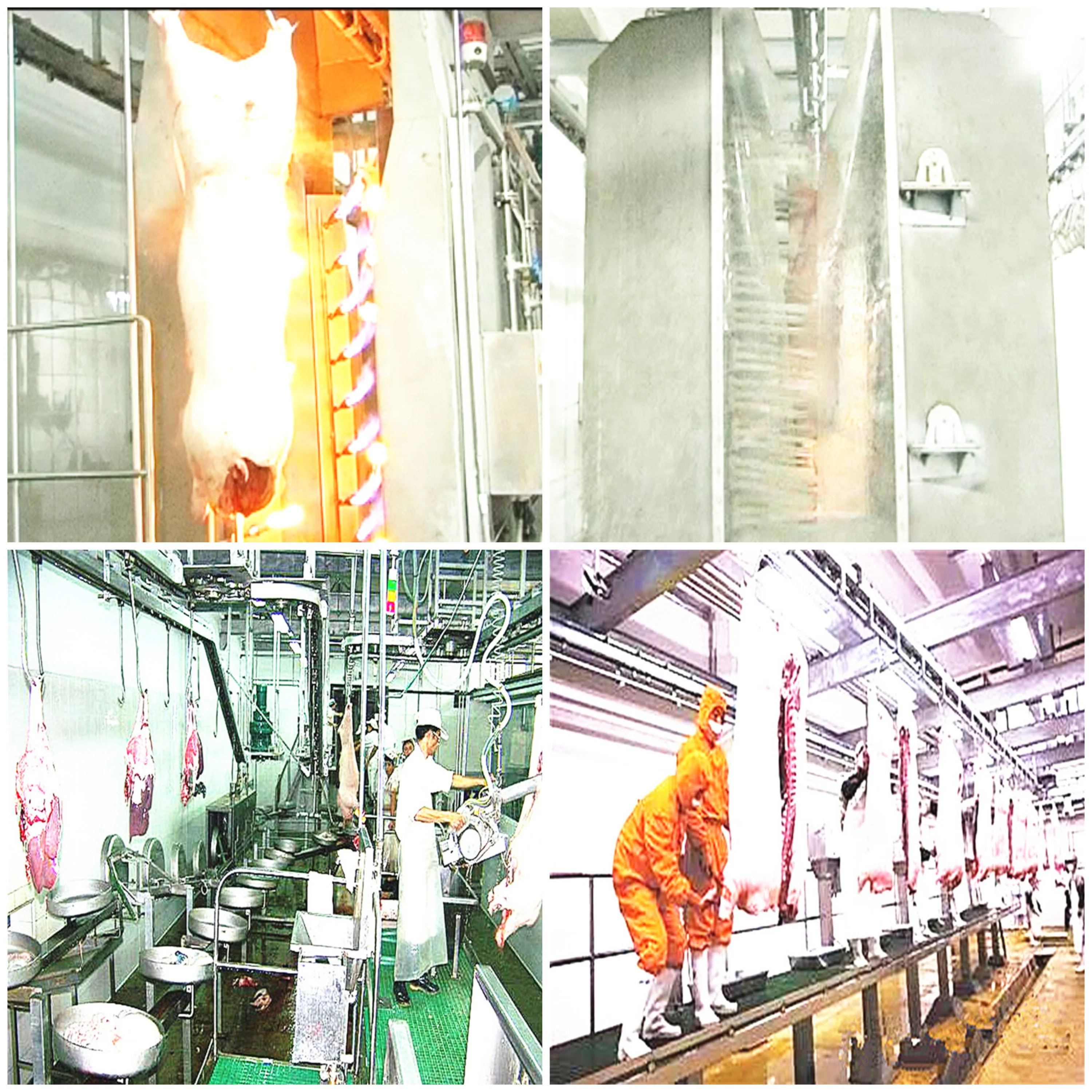 Hot selling pig slaughterhouse and meat processing equipment for efficient pig slaughterhouse