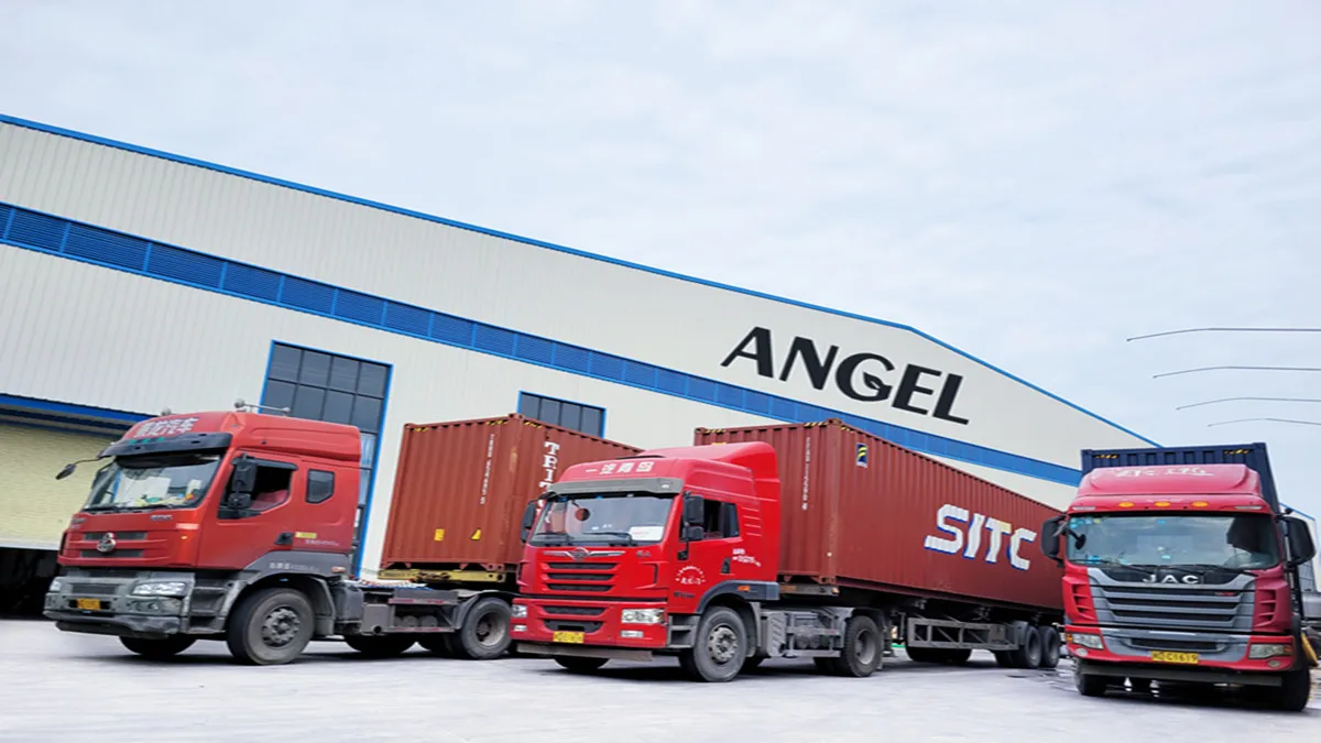 Fujian Angel Nonwoven Fabric Tech Co.,Ltd. 2