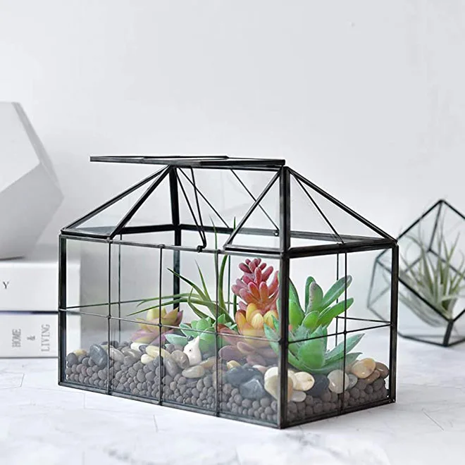 プーの助 手作りガラス温室風テラリウムケース プーの助様専用 手作りガラス温室風テラリウムケース