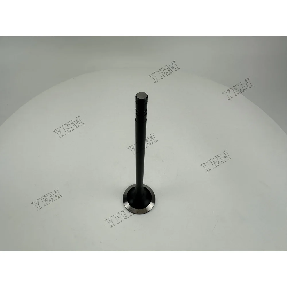 Intake Valve for Mitsubishi S12H Replacement Engine Parts 4