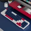White Blue Red