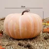 25cm Misty Yellow Dwarf Pumpkin
