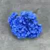 azul zafiro