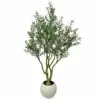 olive tree