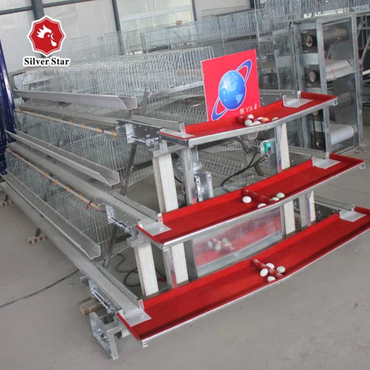 Manufacture Best Price Automatic Egg Collecting Equipment System
