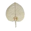 Palm fan