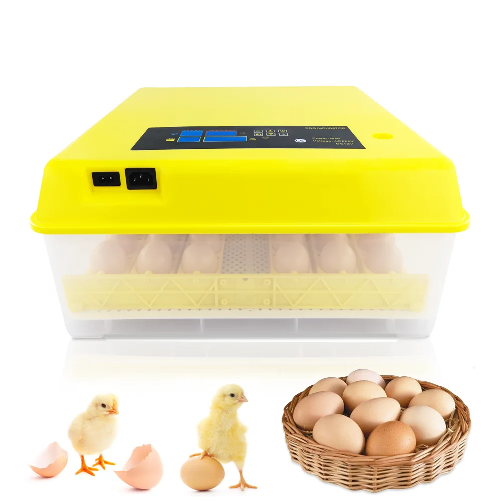 Недорогой Инкубатор Для Яиц,48 Яиц,Сделано В Китае - Buy Small Chicken Egg  Incubator,Kerosene Egg Incubator,Chicken Egg Incubator And Hatcher Product  on Alibaba.com