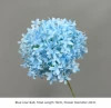 Blue Lilac Ball