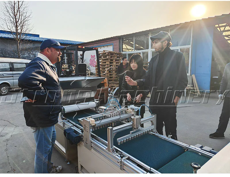 Automatic Rice Seedling Tray Planting Machine