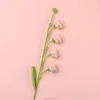 rosa 1