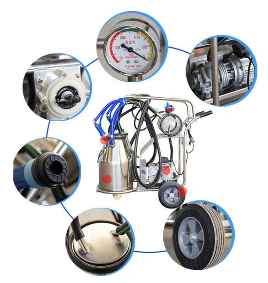 2L Tragbare Melkmaschine Elektrische Edelstahl Melker Doppelkopf Schaf Küh Melkmaschine mit Vakuumpumpe Milch Maschine für das Melken von Kühen und Schafen(Für Schafe