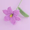 Branches de fleurs de bulbe de lys violet