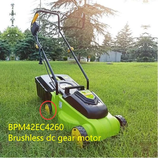 Factory CE Certificated Energy Conservation Long Life Tim 42mm Planetary Gear 24v Brushless Dc Motor Using for Lawn Mower Motor