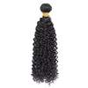 1b# Kinky Curly