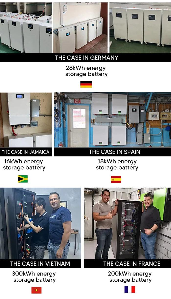 Project Case