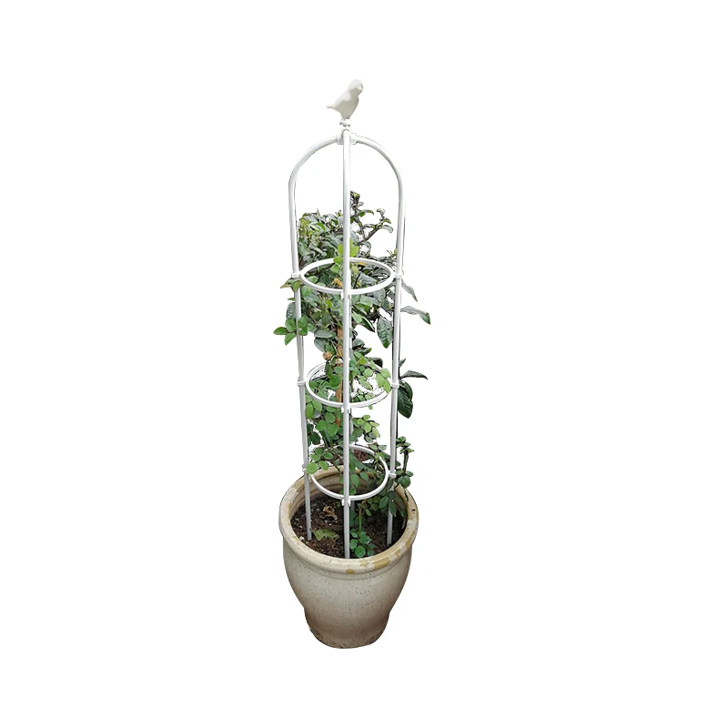 Birdie Flower Rack Climbing Vines And Plants Metal Trellis Garden Obelisk Buy Garden Obelisk Birdie Flower Rack Plant Obelisk Product On Alibaba Com